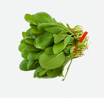 Bunch Spinach