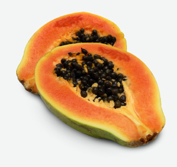 Maradol Papaya