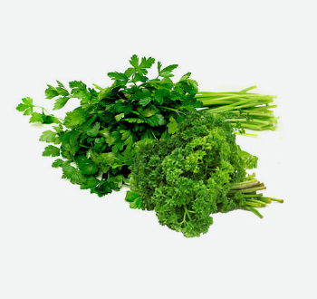 Curly or Italian Parsley