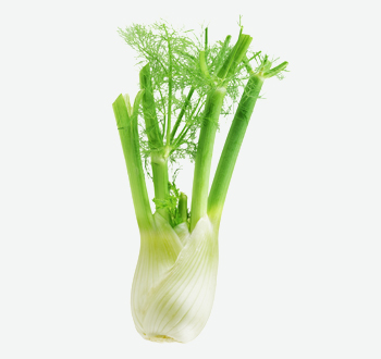 Anise