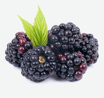 Blackberries