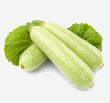 White Zucchini