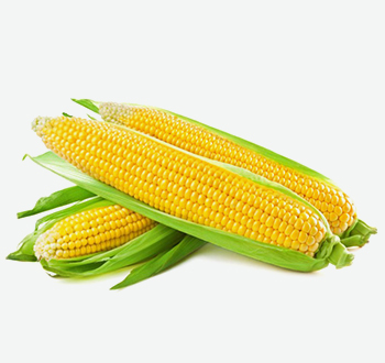Corn