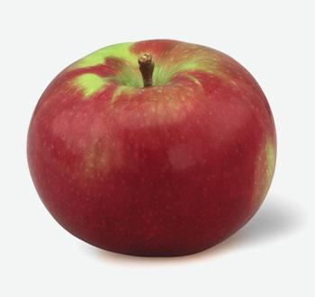 McIntosh Apples