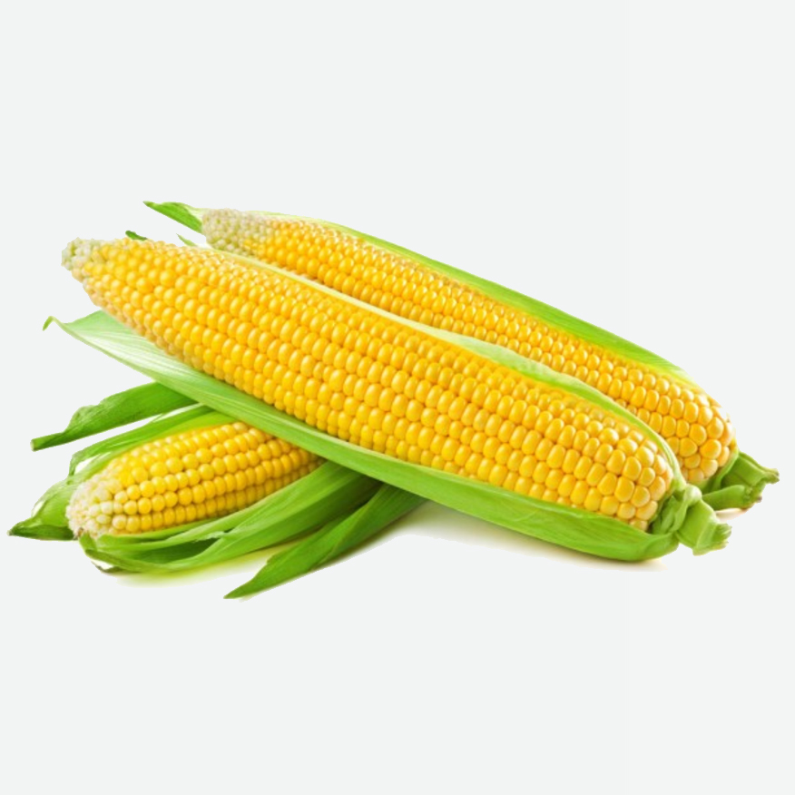 Sweet Corn