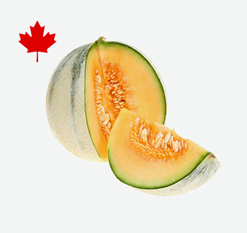 Cantaloupes