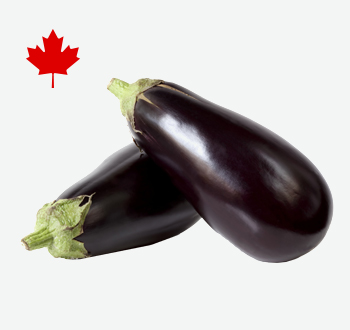 Eggplant
