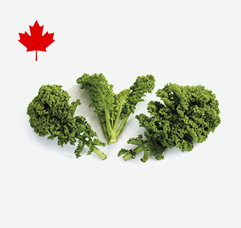 Swiss Chard, Dandelion, Collard or Kale