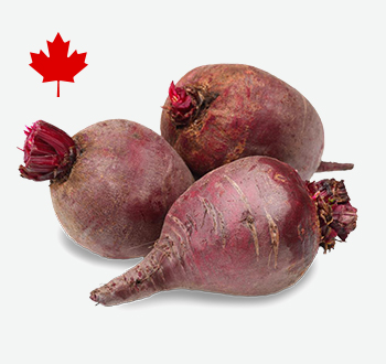 10Lb Beets