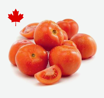 Field Tomatoes