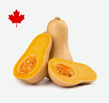 Buttercup, Butternut, Pepper or Spaghetti Squash