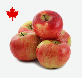 Cortland Apples