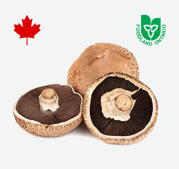 Portabella Mushrooms