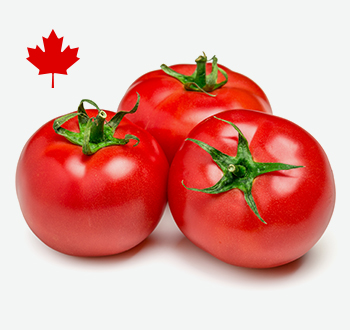 Hothouse Tomatoes
