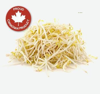 Bean Sprouts