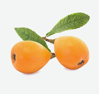 Loquats