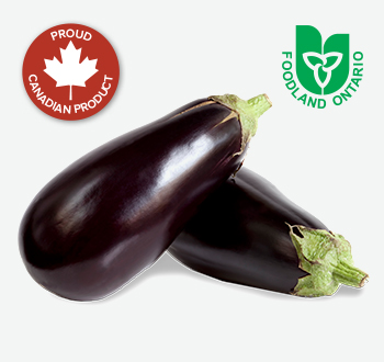 Italian Eggplant