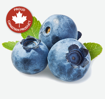 BC Blueberries