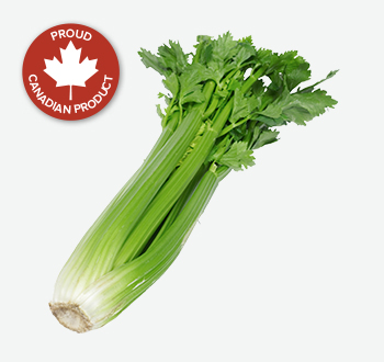 Celery