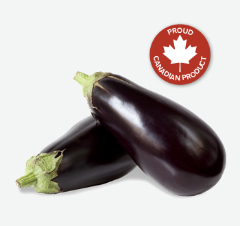 Eggplant