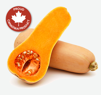 Buttercup, Butternut, Pepper or Spaghetti Squash