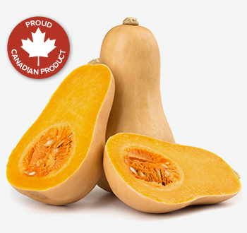 Butternut, Buttercup, Spaghetti or Pepper Squash