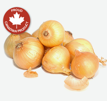 10 Lb Boiler Onions