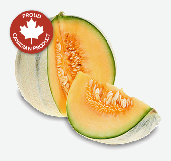 Large Cantaloupes