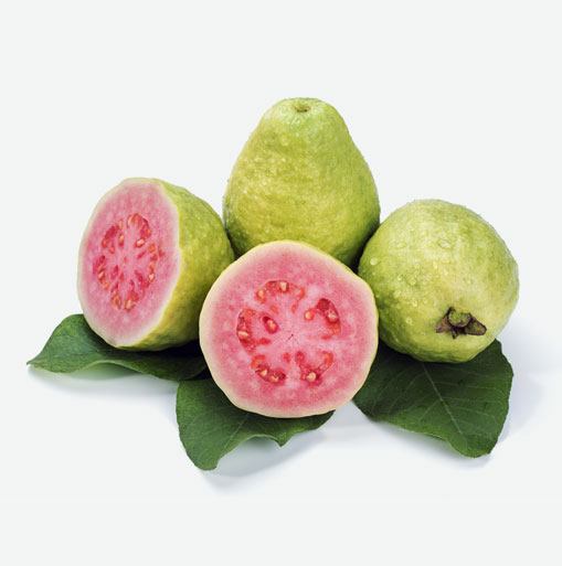 List 98+ Pictures show me a picture of a guava Excellent