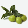 Olives