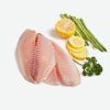 Tilapia
