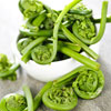 Spring Fiddlehead Salad