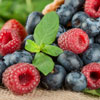 Fresh Berry Dessert