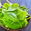 Spinach Salad with Dressing