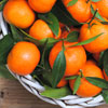 Tasty Tangerine Salsa
