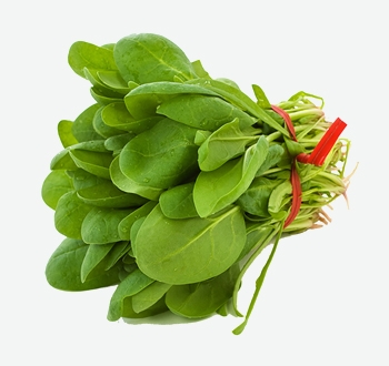 Bunch Spinach