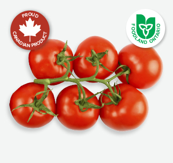 Cluster Tomatoes