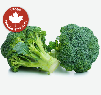 Broccoli