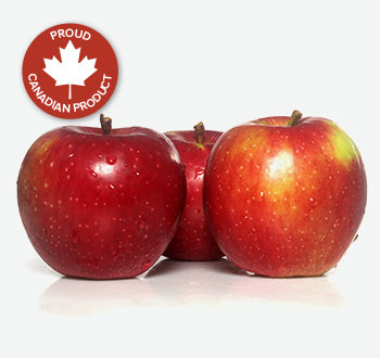 McIntosh Apples