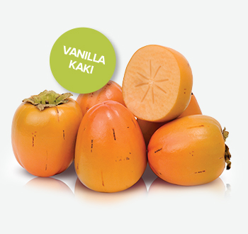 Spanish Persimmons
