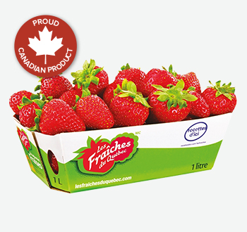  Canadian Strawberry Basket