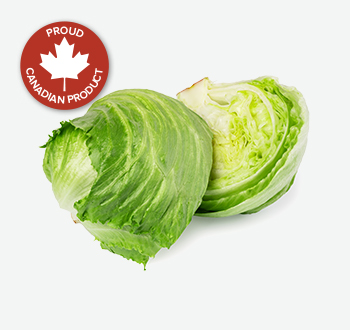 Iceberg Lettuce