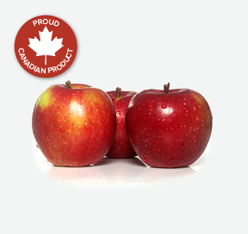 McIntosh Apples